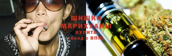 гидропоника Бородино