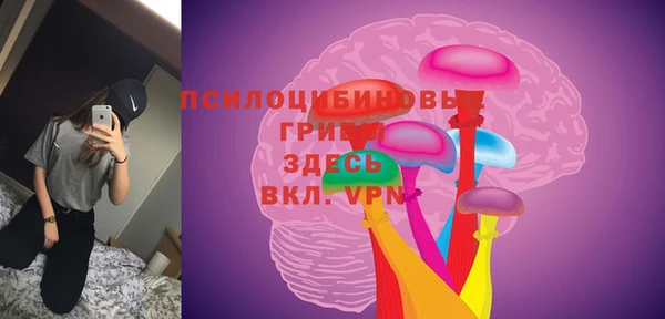 гидропоника Бородино