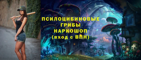 мдпв Верхний Тагил